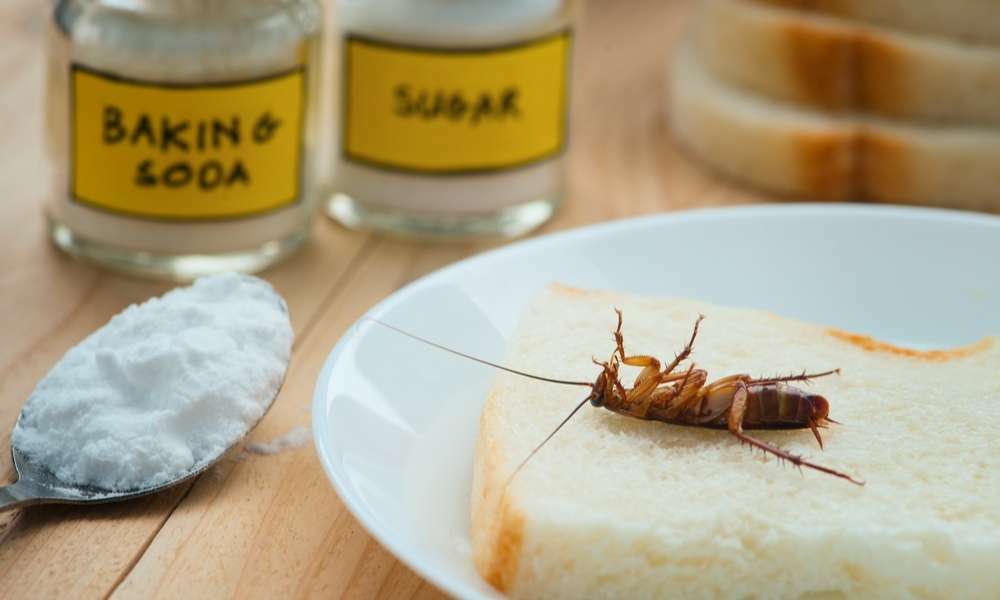 Baking Soda and Sugar To Remove Roaches From Appliances