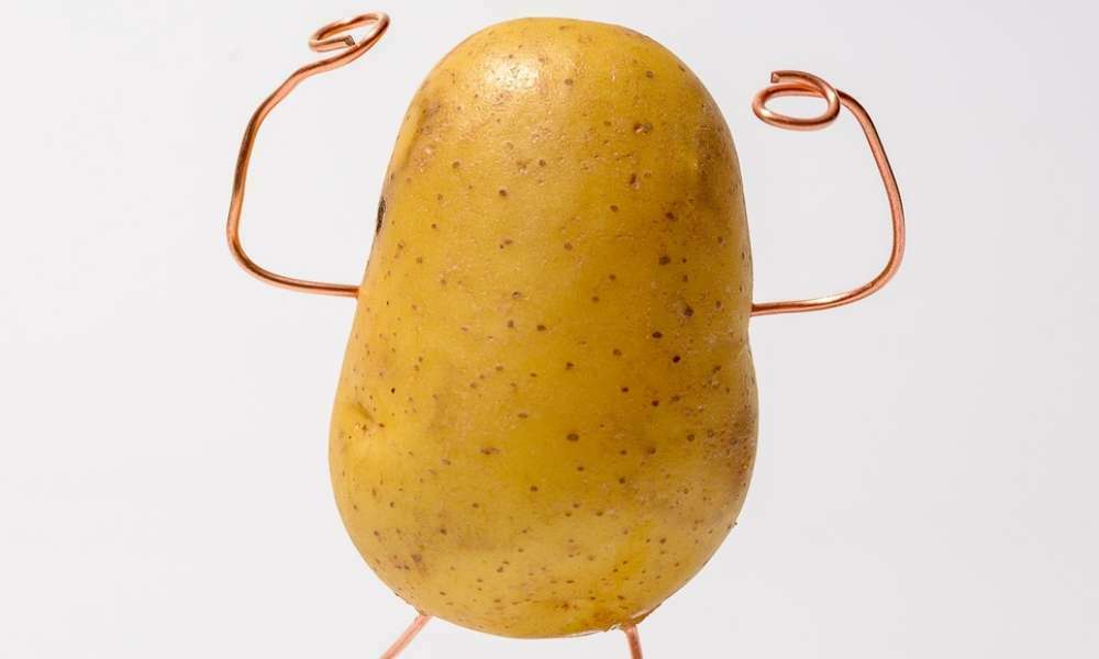 Potato Power 
