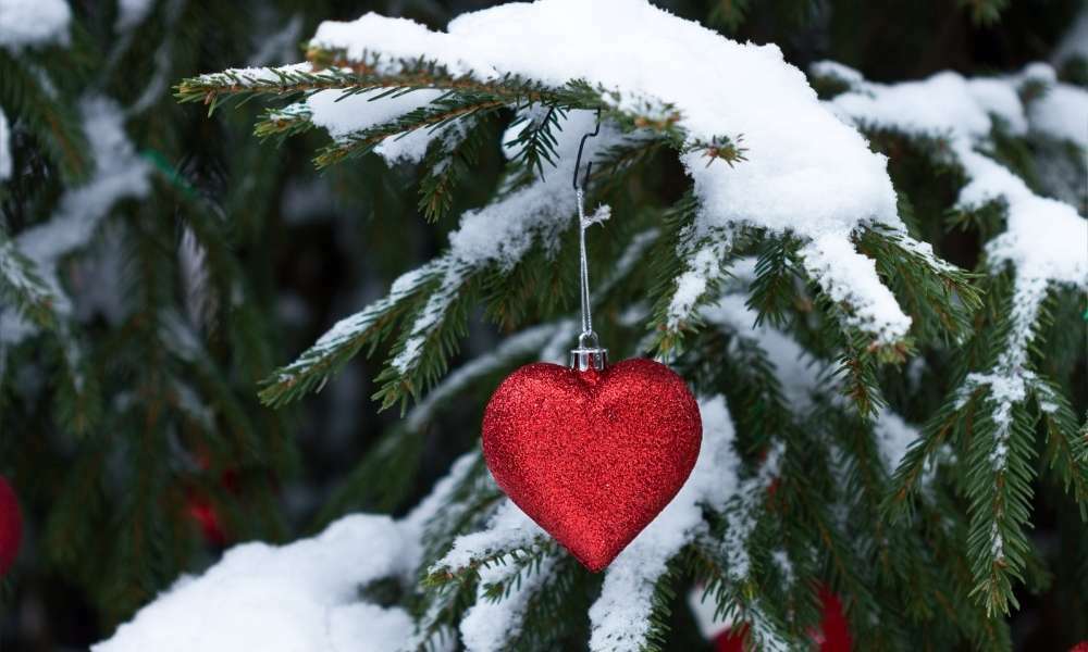 Consider The Weather To Put Christmas Lights On A Large Outdoor Tree