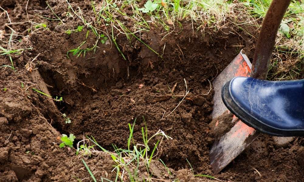 Dig Holes For Lights To Install Outdoor Lighting