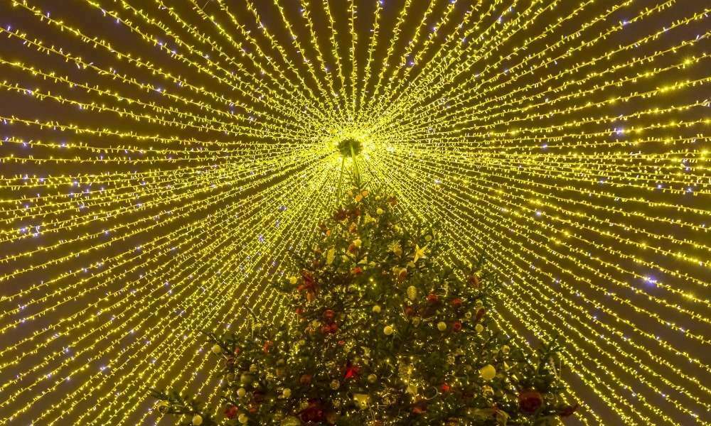 How To Put Christmas Lights On A Large Outdoor Tree