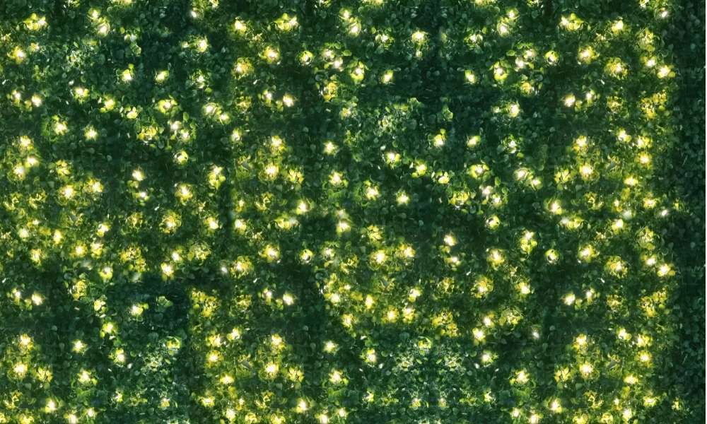 Keep It Simple To Decorate Outdoor Trees With Lights