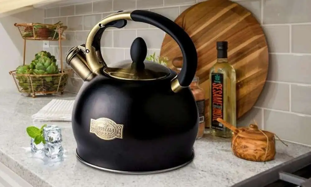 Best-Tea-Kettle-For-Gas-Stove-