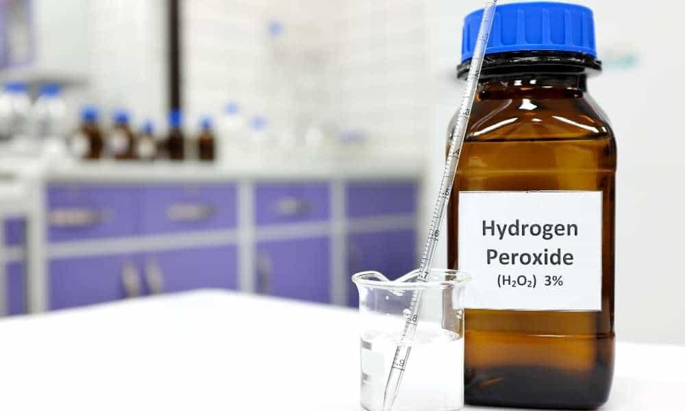 Hydrogen Peroxide If Necessary To Clean Stainless Steel Dog Bowls