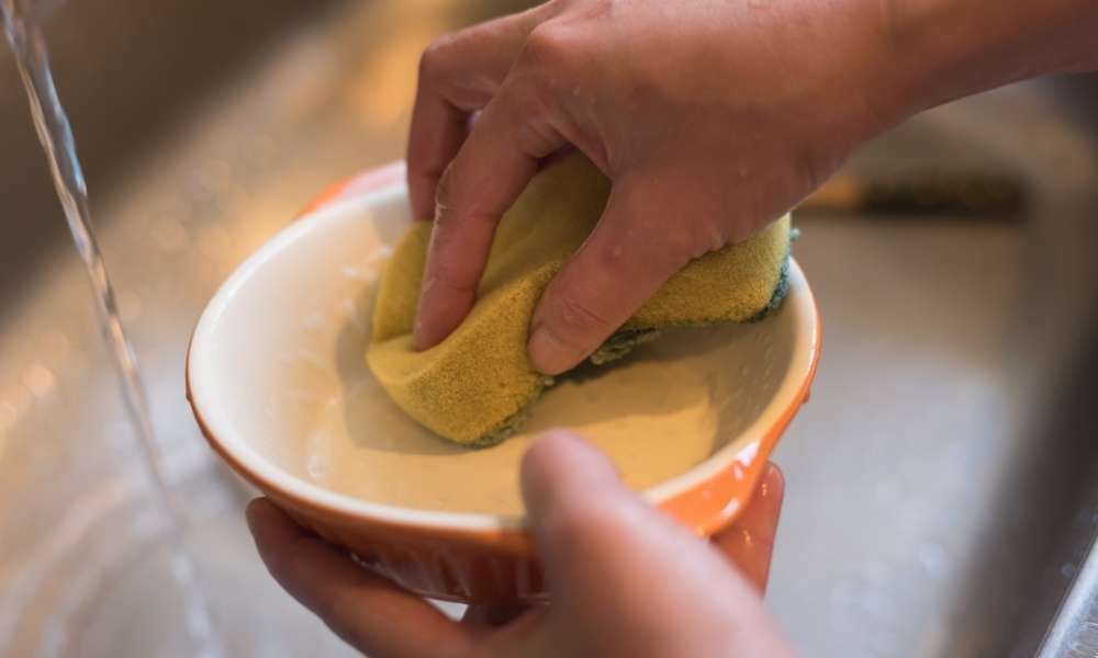 Wash Dishes With Water To Clean Dog Bowls