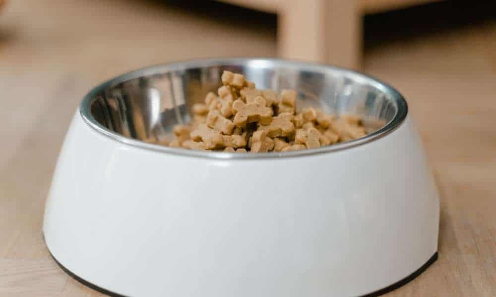 When To Wash The Dog Bowl?