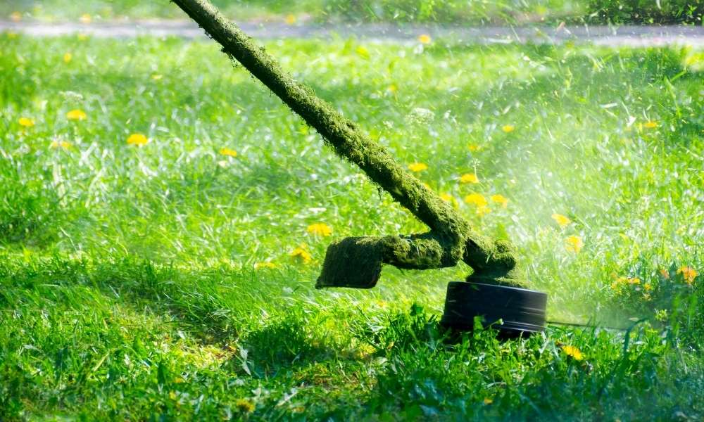 How To Kill Grass In A Vegetable Garden