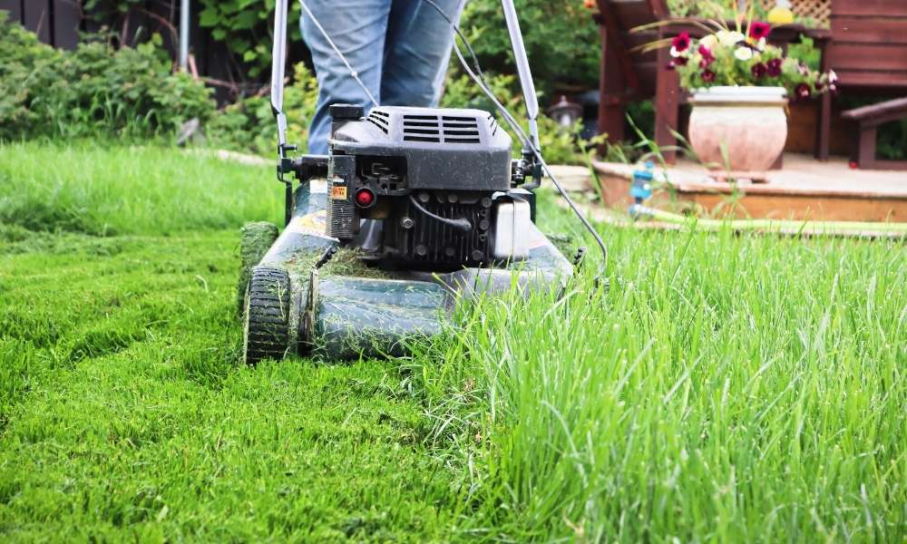 Remove Grass Using A Hand Mower