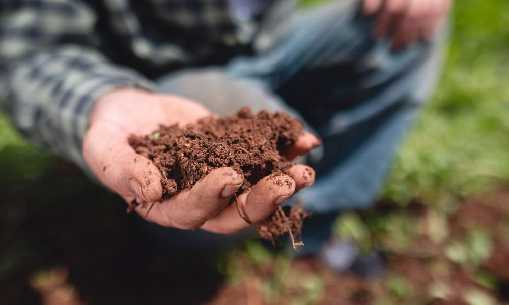 Soil Fertility