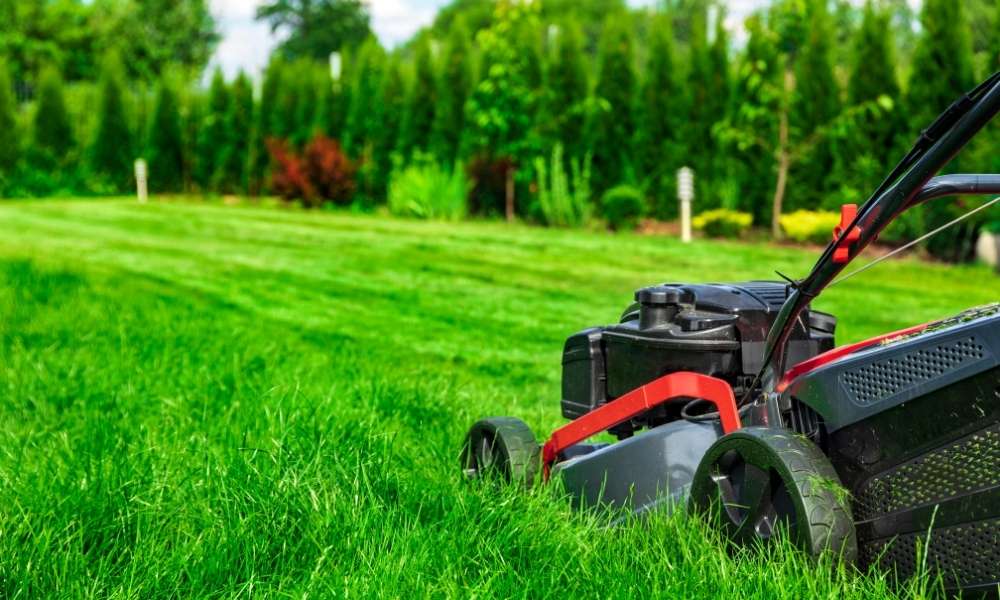 Use A Lawn Roller To Kill Grass In A Vegetable Garden