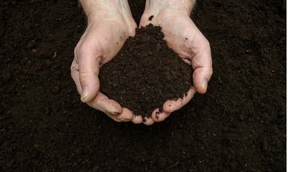 Weed-Free Compost Tea