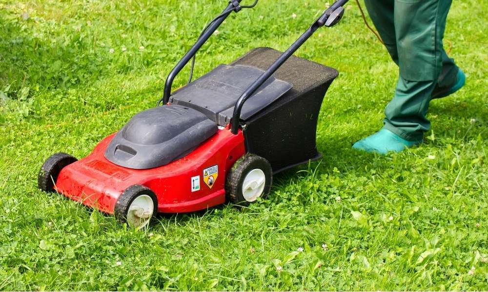 A Lawn Mower To Clear A Garden Full Of Weeds