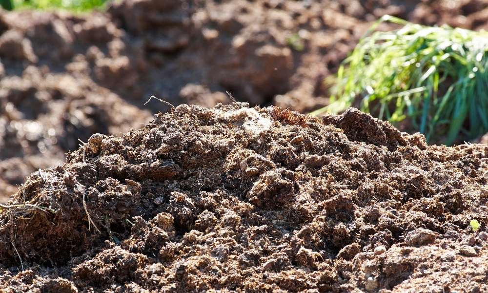 Manure To Clear A Garden Full Of Weeds