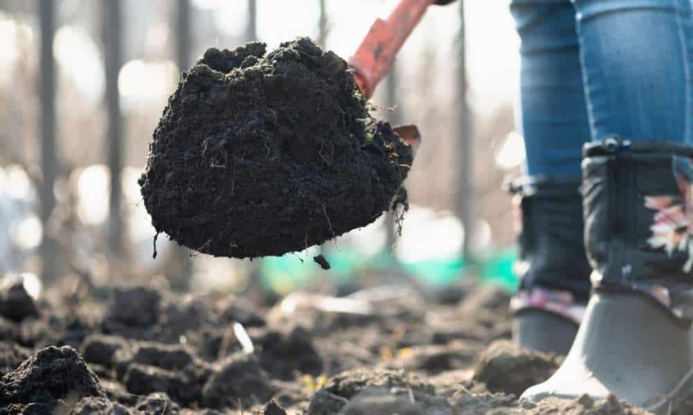 Prepare The Ground To Make Rows In A Garden