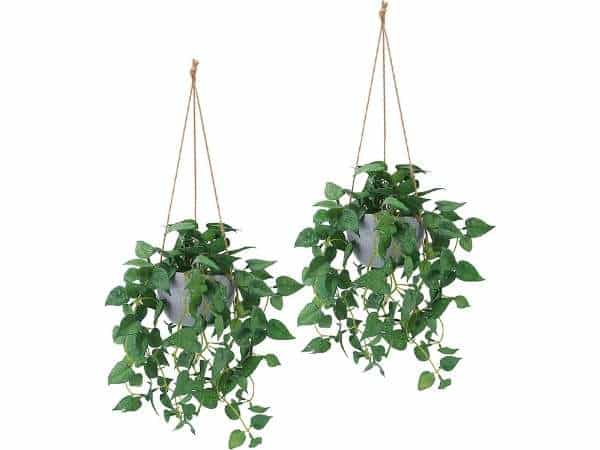Add Hanging Plants in Unicorn Bedroom