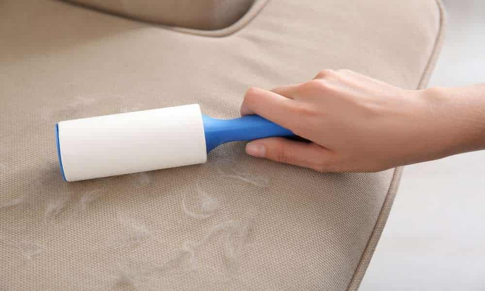 To Clean Polyester Sofa Use A Sticky Lint Roller