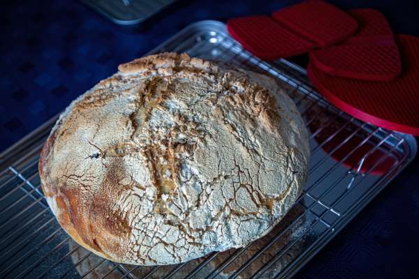 Understanding Sourdough Bread Basics